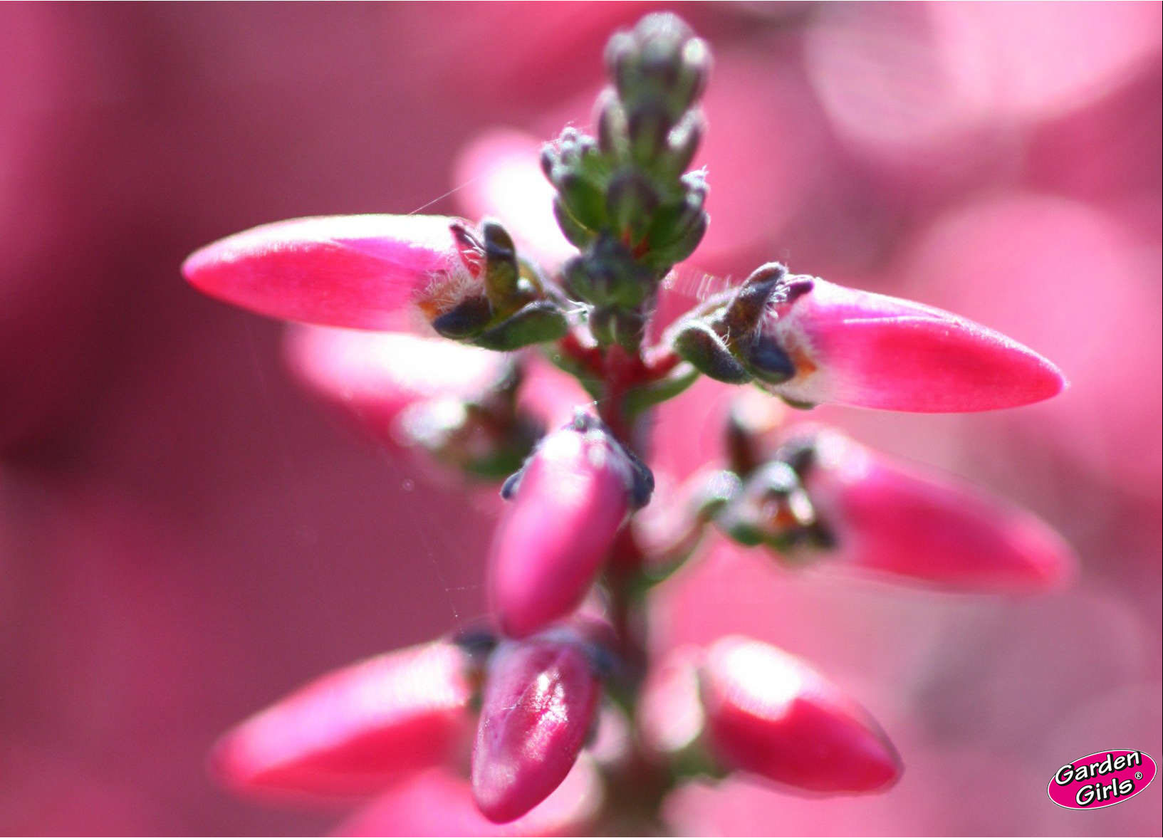 Oferta 2018 juz dostępna !